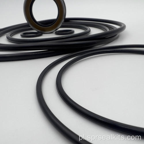 Sumitomo Swing Motor Kit